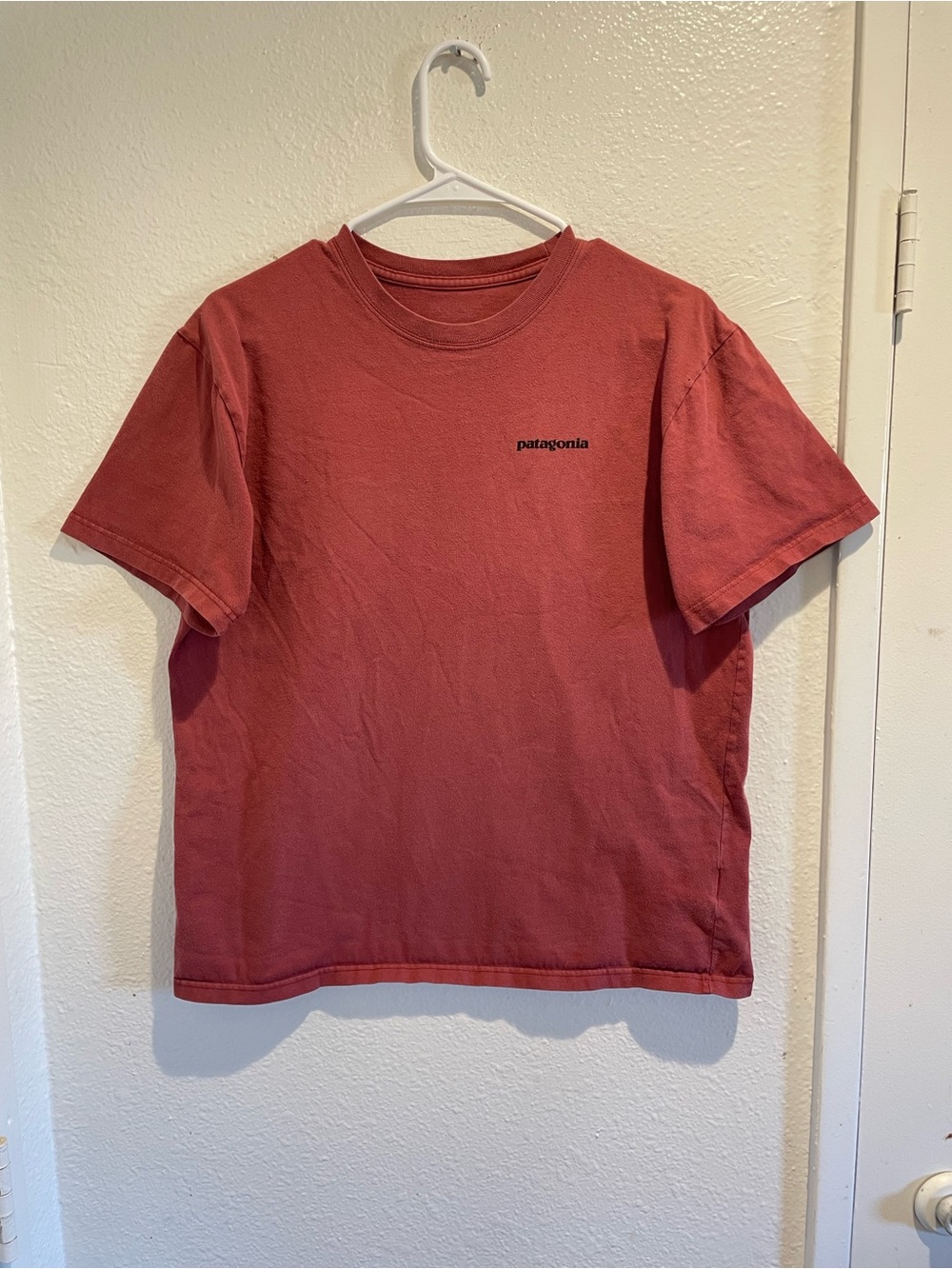 Patagonia Men's Size Medium Brick Red Organic Cotton Short Sleeve Graphic Tee